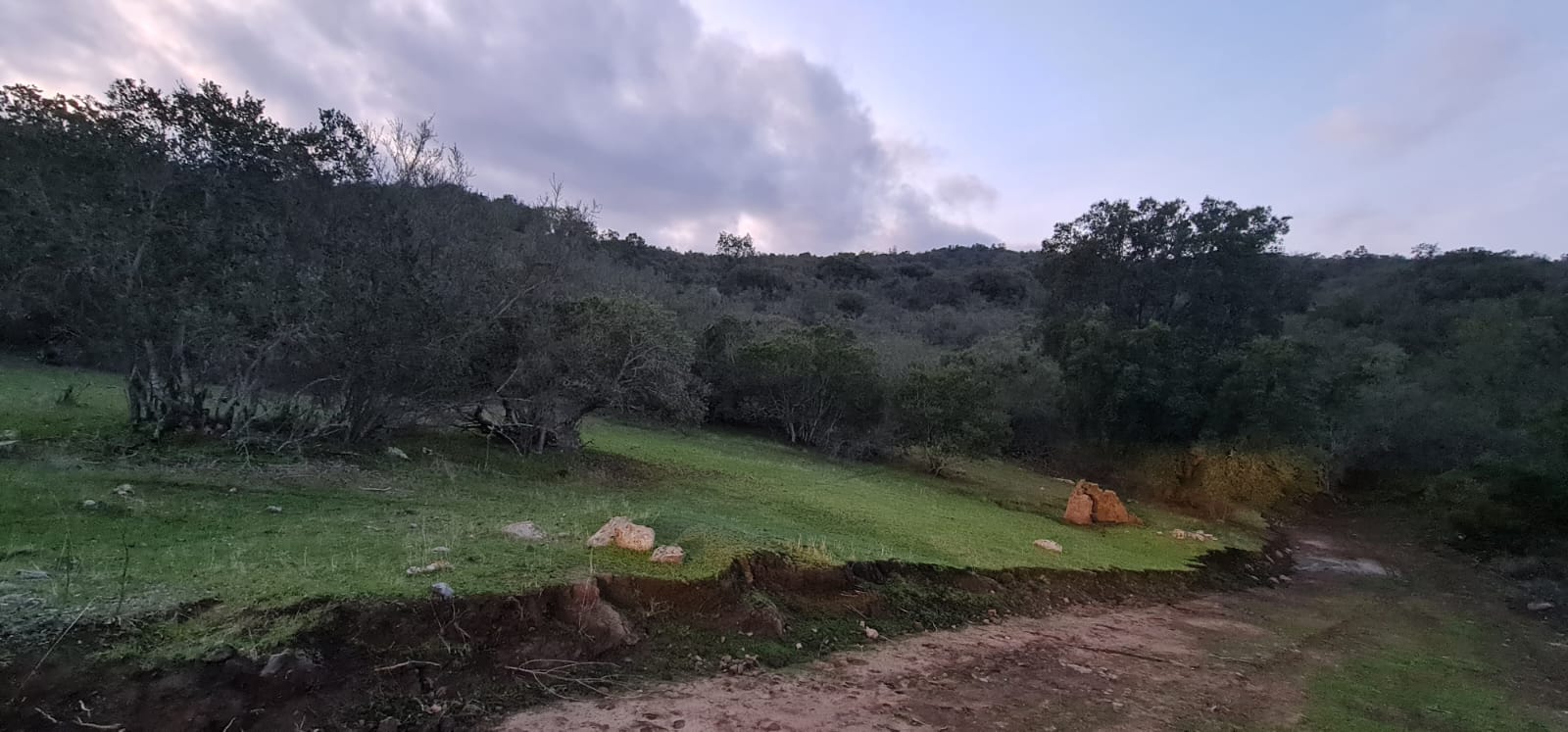 El Parron
