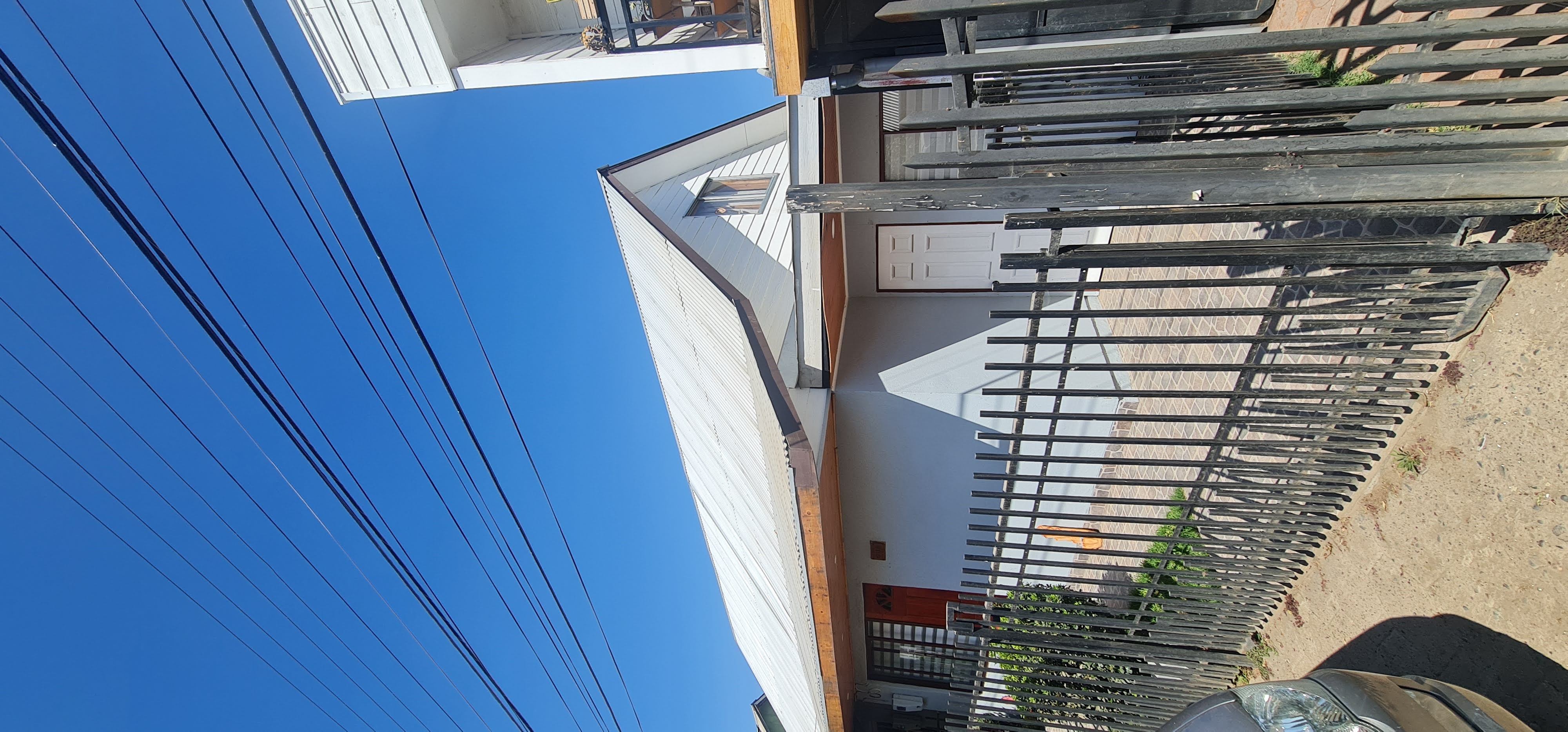 CURICO, BOLDO II